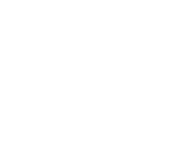 1994 