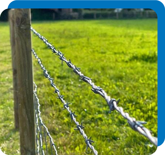 barbed-wire 