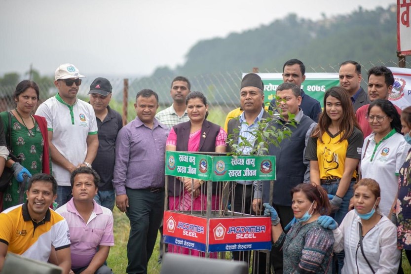 Tree Plantation 